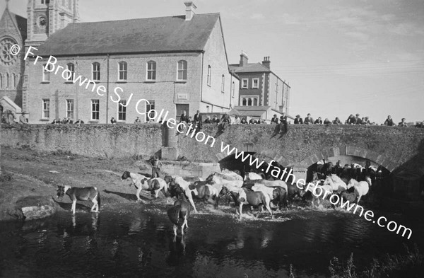 DUFFY'S CIRCUS WATERING THE HORSES IN THE RIVER